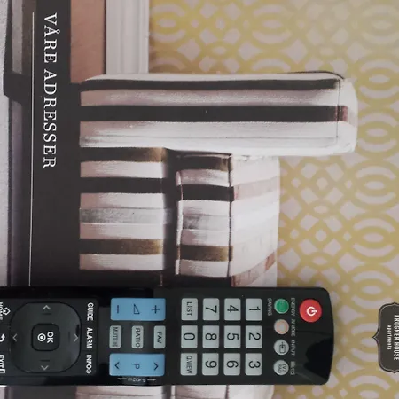 Frogner House - Slottsparken * Oslo