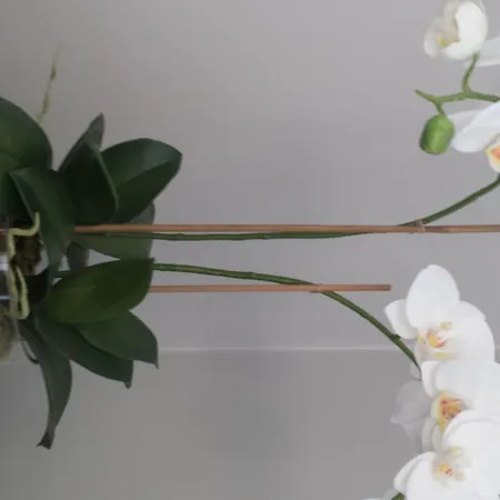 Frogner House - Slottsparken *