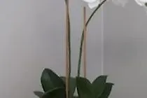 Frogner House - Slottsparken شقة أوسلو