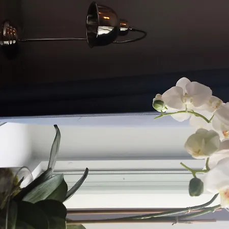 Appartement Frogner House - Slottsparken *