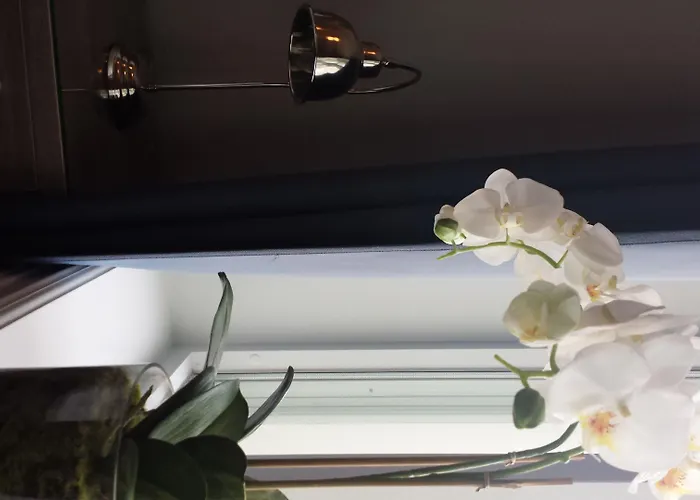 Daire Frogner House - Slottsparken *